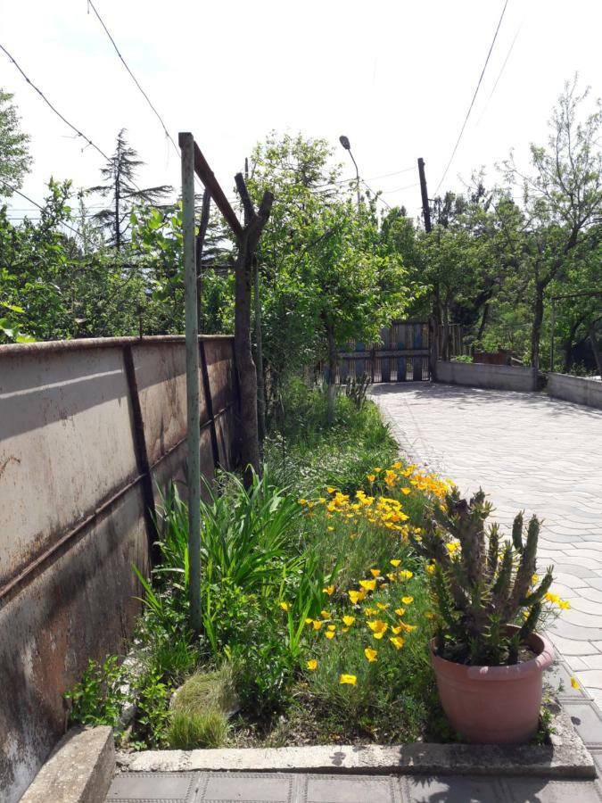 Гостевой дом Sataplia District Кутаиси Экстерьер фото